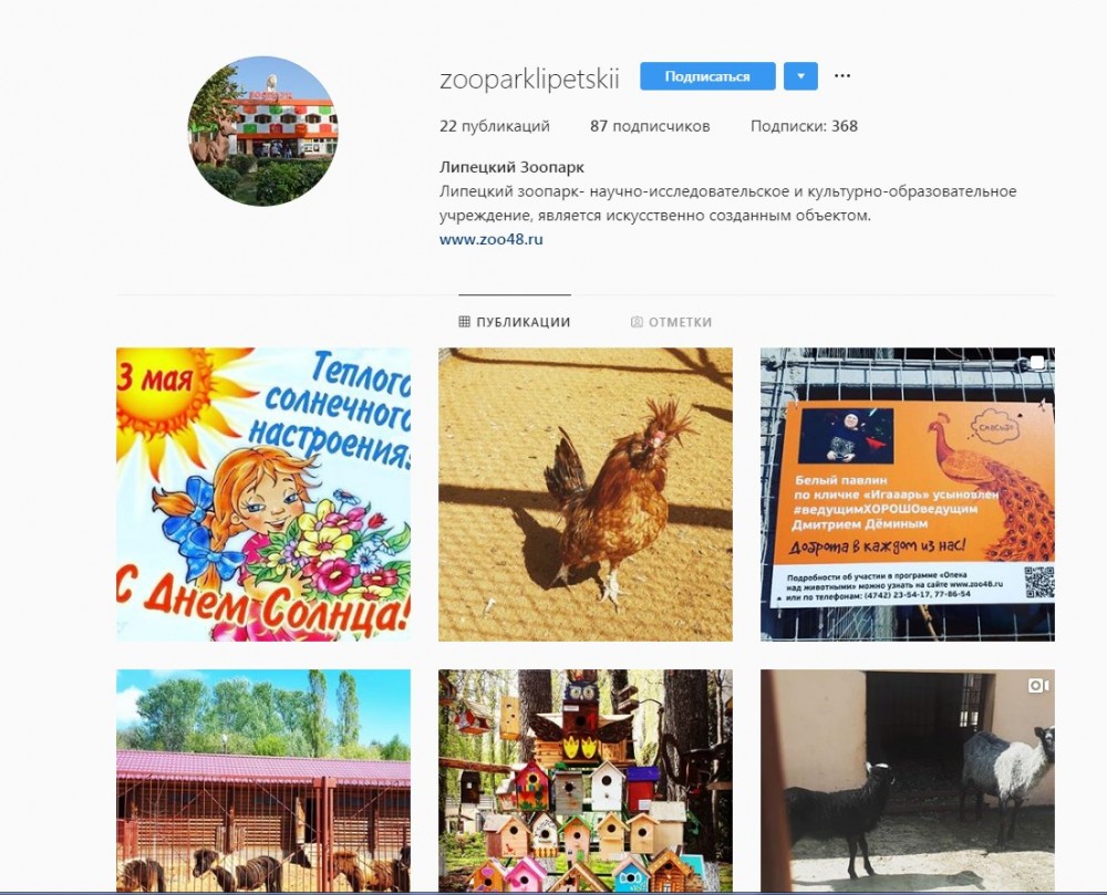 У липецкого зоопарка появилась страничка в Instagram