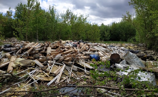 В Богородицке посреди леса образовалась свалка ртутных ламп