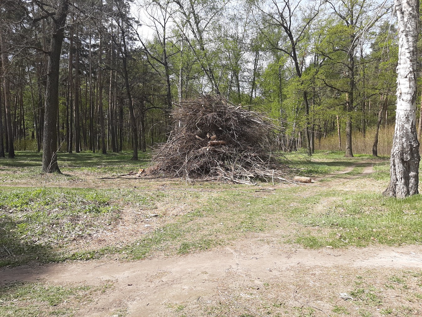 Жителей Тракторного приглашают на глобальный субботник