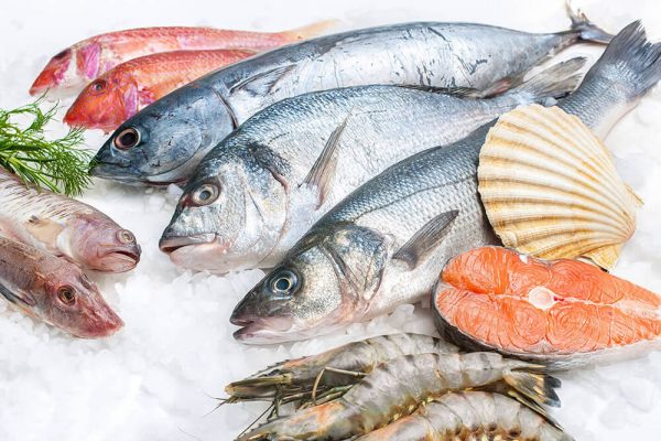 Свежезамороженная рыба и морепродукты оптом по выгодным ценам